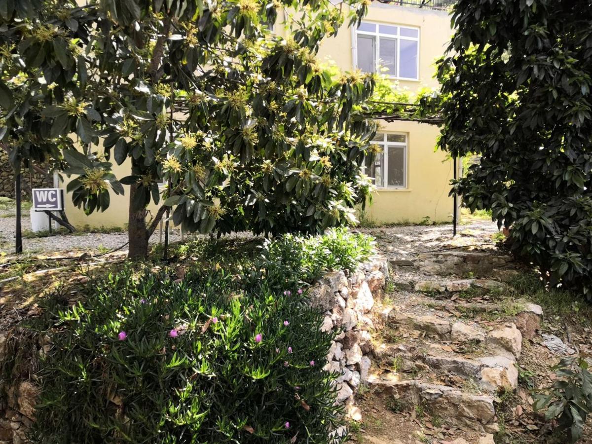 Zeytinada Pansiyon Ve Goezleme Guneykoy المظهر الخارجي الصورة