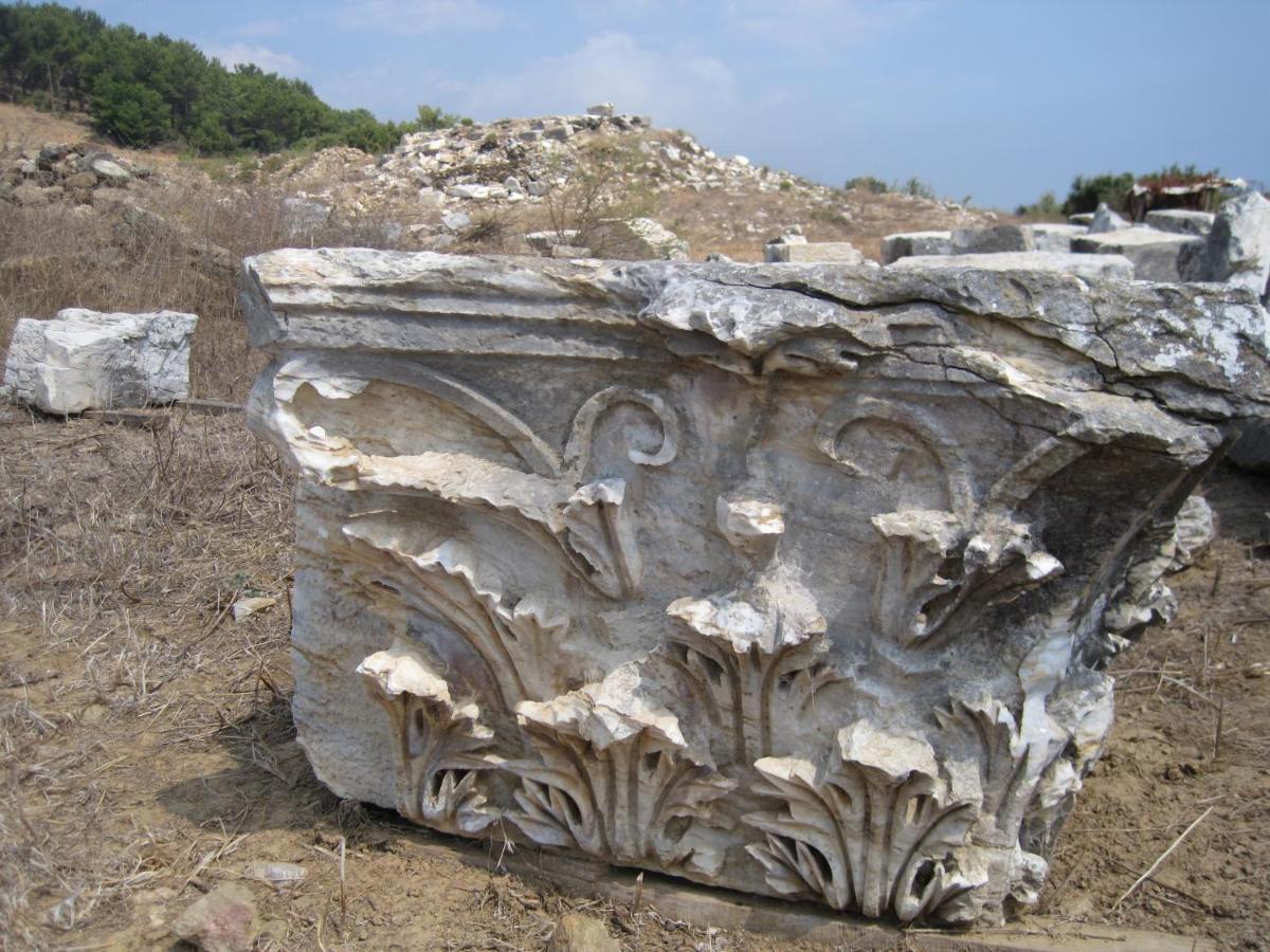 Zeytinada Pansiyon Ve Goezleme Guneykoy المظهر الخارجي الصورة