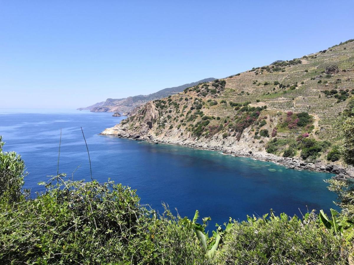 Zeytinada Pansiyon Ve Goezleme Guneykoy المظهر الخارجي الصورة